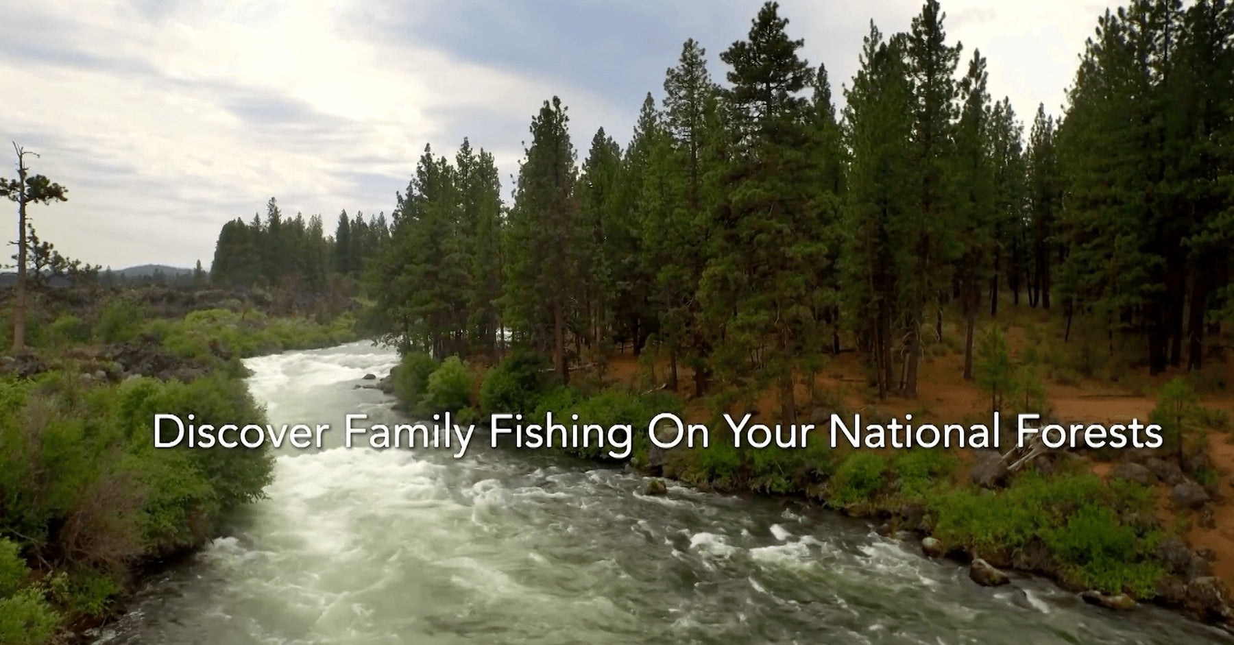 Family Fishing In Your National Forests: Oregon - FishAndSave