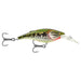 Matzuo Kinchou Shad 5 1/4 Oz - FishAndSave