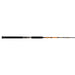 Shakespeare BWDD1230C102 Ugly Stik Bigwater Conventional 10' 2 - Pc - FishAndSave