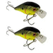 Tackle HD Square Bill 2.75" Qty 2 - FishAndSave