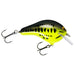 Bagley Balsa B2 #2 2.5" 1/2 Oz - FishAndSave