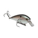 Strike King KVD Square Bill Crankbait 2.5, 5/8 Oz - FishAndSave